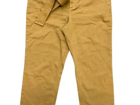 Pants Cargo & Utility By Loft In Brown, Size: 14 Online Sale