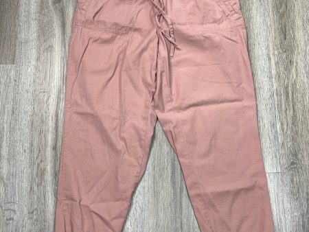 Pants Joggers By Loft In Mauve, Size: M For Cheap