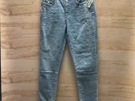 Jeans Skinny By Loft In Blue Denim, Size: 12 Hot on Sale