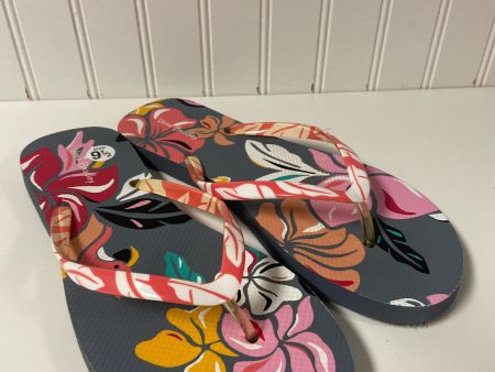 Sandals Flip Flops By Vera Bradley In Multi-colored, Size: 9.5 Discount