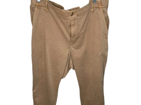 Pants Cargo & Utility By Old Navy In Tan, Size: Xl on Sale