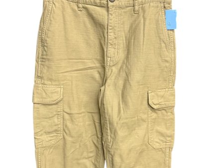 Pants Cargo & Utility By Madewell In Green, Size: 2 Online